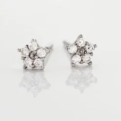 Boucles D'oreilles Puces Elais Etoile Or Blanc Oxyde De Zirconium