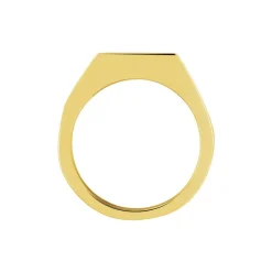 Chevalière Phebus Him Classique Acier Jaune