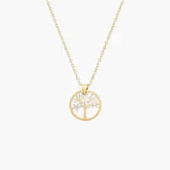 Collier Aragorn Or Bicolore