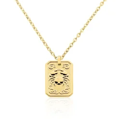Collier Acier Jaune|PHEBUS HIM