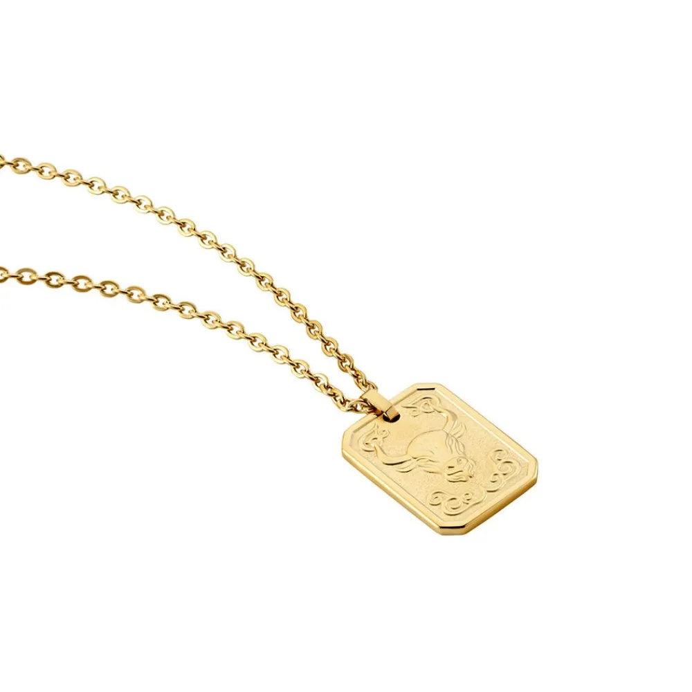Collier Acier Jaune|PHEBUS HIM New