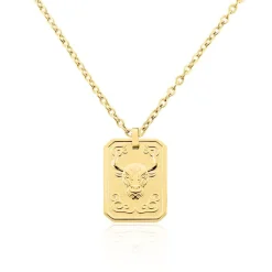 Collier Acier Jaune|PHEBUS HIM New