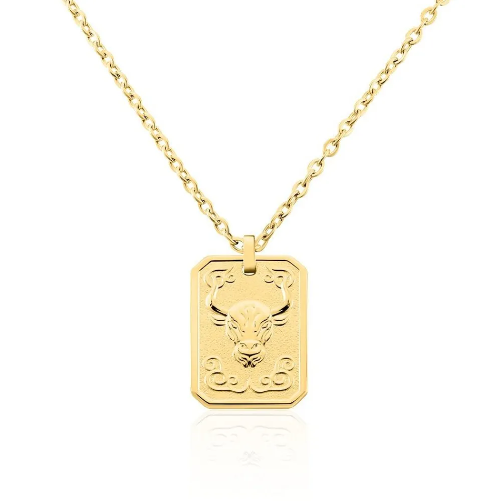 Collier Acier Jaune|PHEBUS HIM New