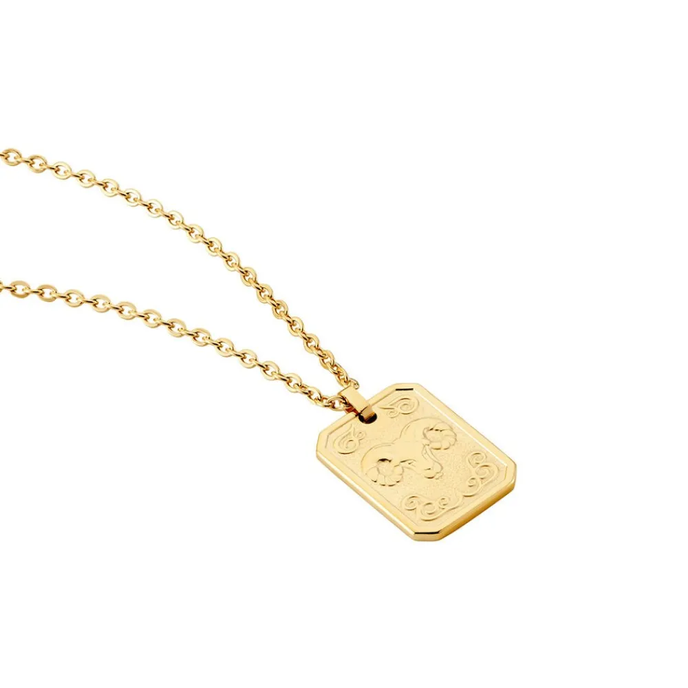 Collier Acier Jaune|PHEBUS HIM Online