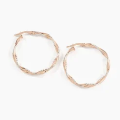 Créoles Argent Rose Alieno
