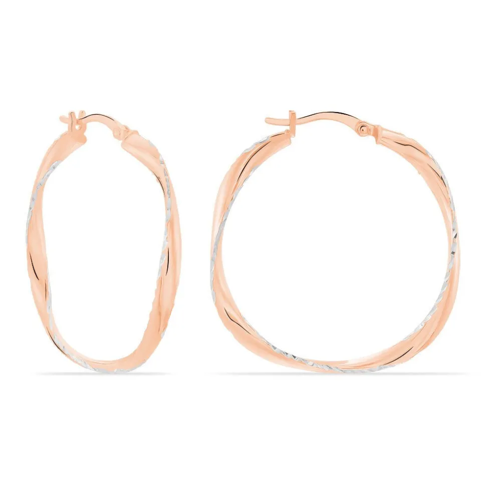 Créoles Argent Rose Alieno