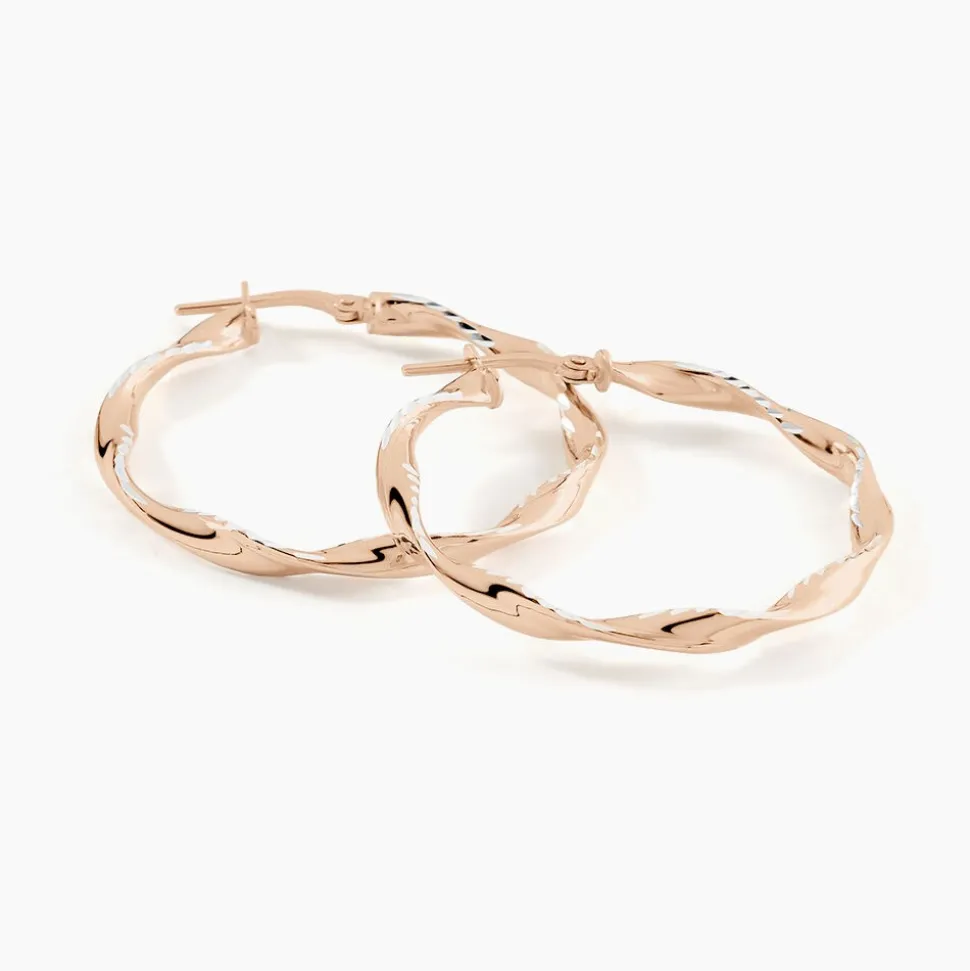 Créoles Argent Rose Alieno