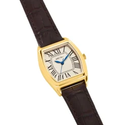 Montre Globe Argenté|ARCTIK Best
