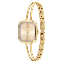 Montre Adore Doré|CALVIN KLEIN Best