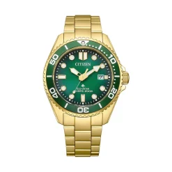 Montre Promaster Marine Eco-Drive Vert|CITIZEN Online