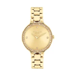 Montre Chelsea Vert|COACH New