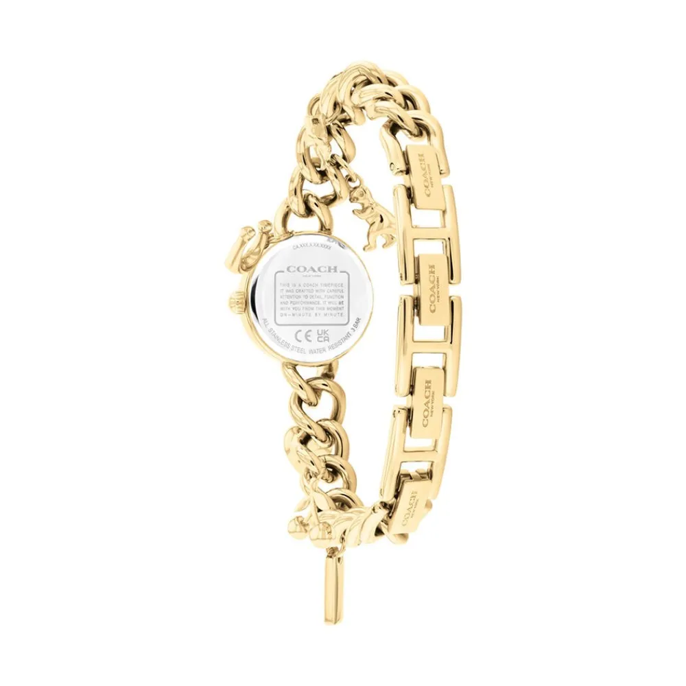 Montre Iris Blanc|COACH Discount