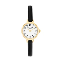 Montre Iris Blanc|COACH