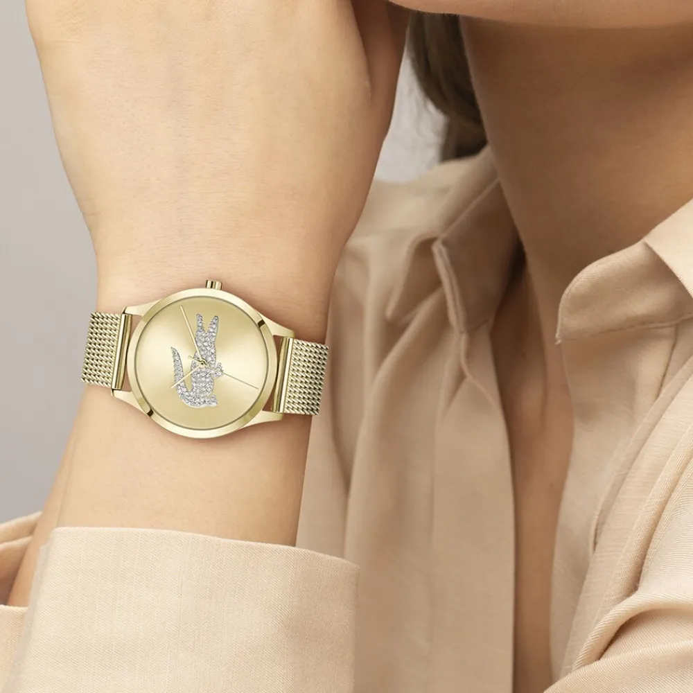 Montre Crocodelle Doré|LACOSTE Clearance