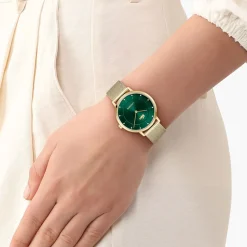 Montre Crocorigin Vert|LACOSTE Online