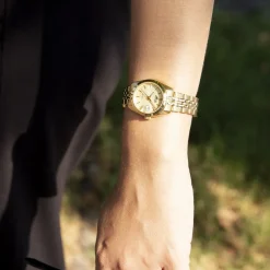 Montre Freedom Collection Doré|LOTUS Sale