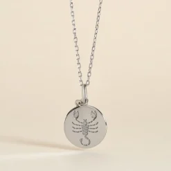 Pendentif Zodiaque Rond Argent Blanc